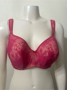 Cacique Fuchsia Lace Underwire Bra NWOT